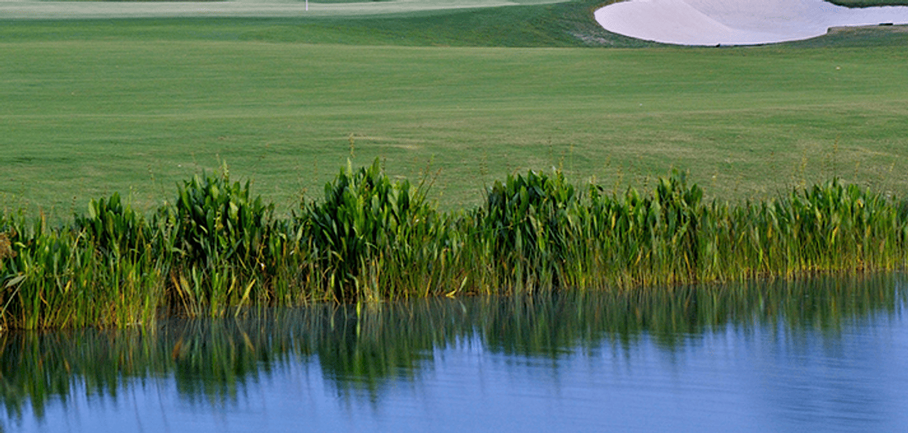 The Ritz-Carlton Members Golf Club Sarasota