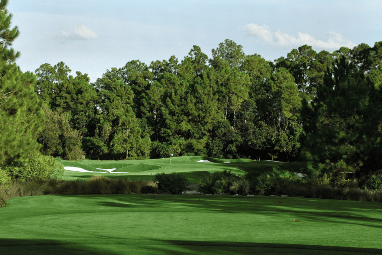 The Golden Bear Club