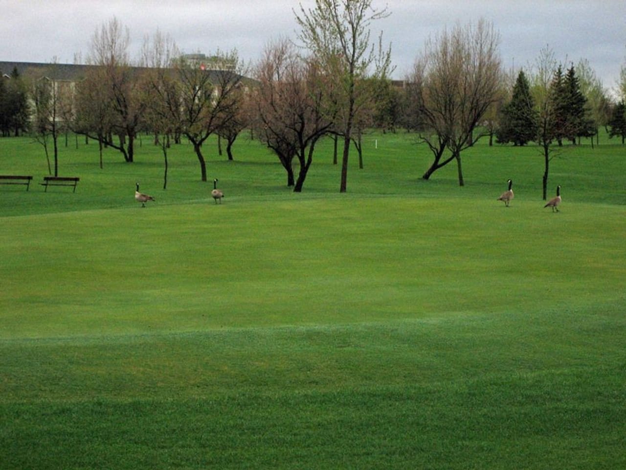 Ray Richards Golf Course