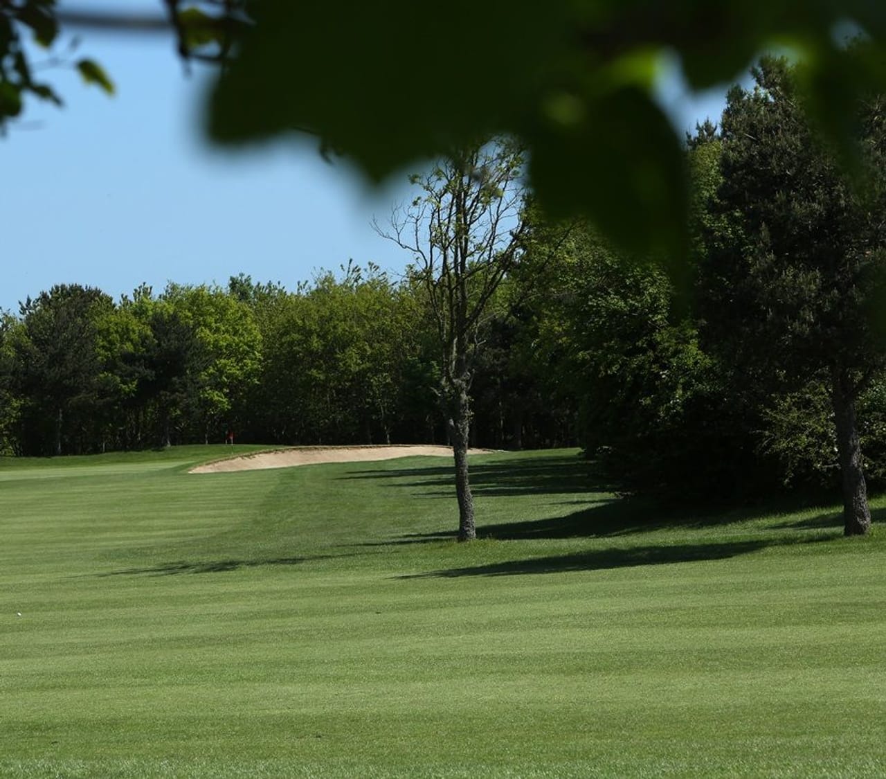 Mercure Newcastle George Washington Hotel Golf & Spa