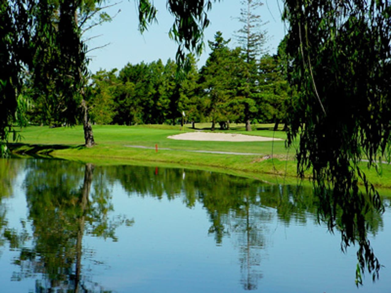 Foxtail Golf Club (South)