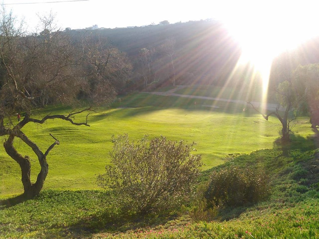Tecolote Canyon Golf Course
