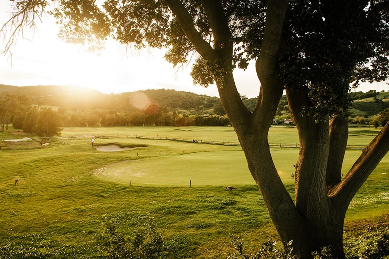 Peacock Gap Golf Club