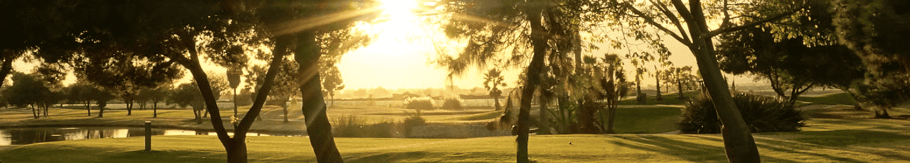 Navy Golf Course (Cruiser)