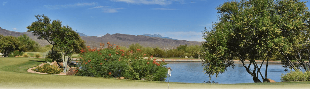Tonto Verde Golf Club (Peaks)