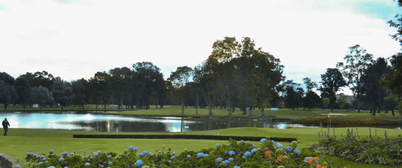 Country Club de Bogotá (Pacos y Fabios)