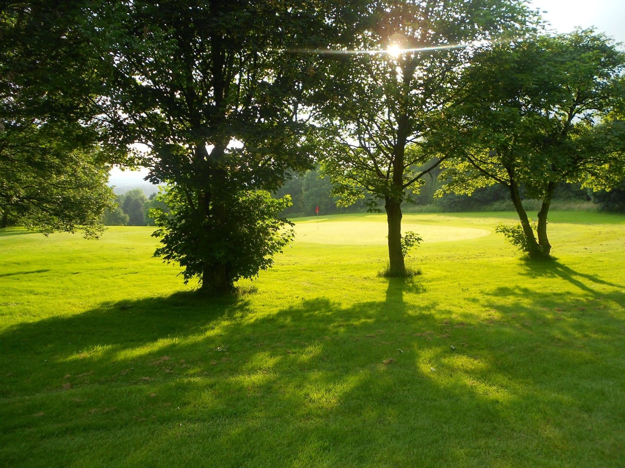 Tapton Park Golf Club (Dobbin)