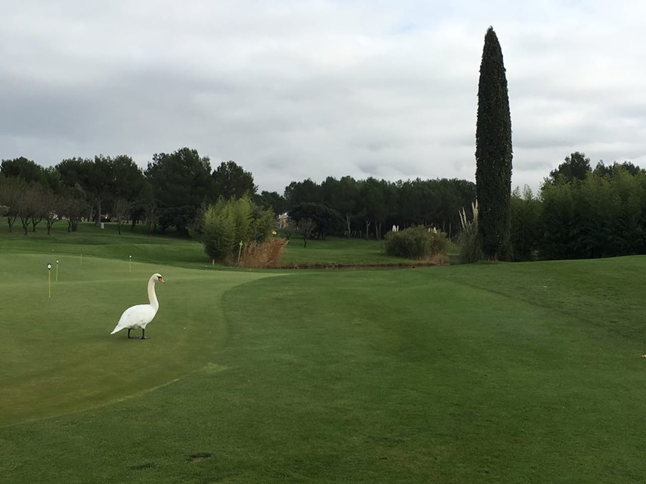 Golf International de Pont Royal (Ballesteros)