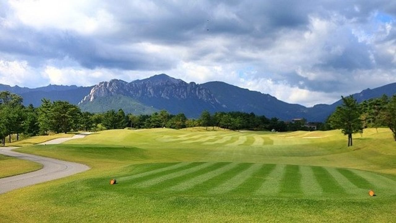 Plaza Country Club Yongin (Lion)