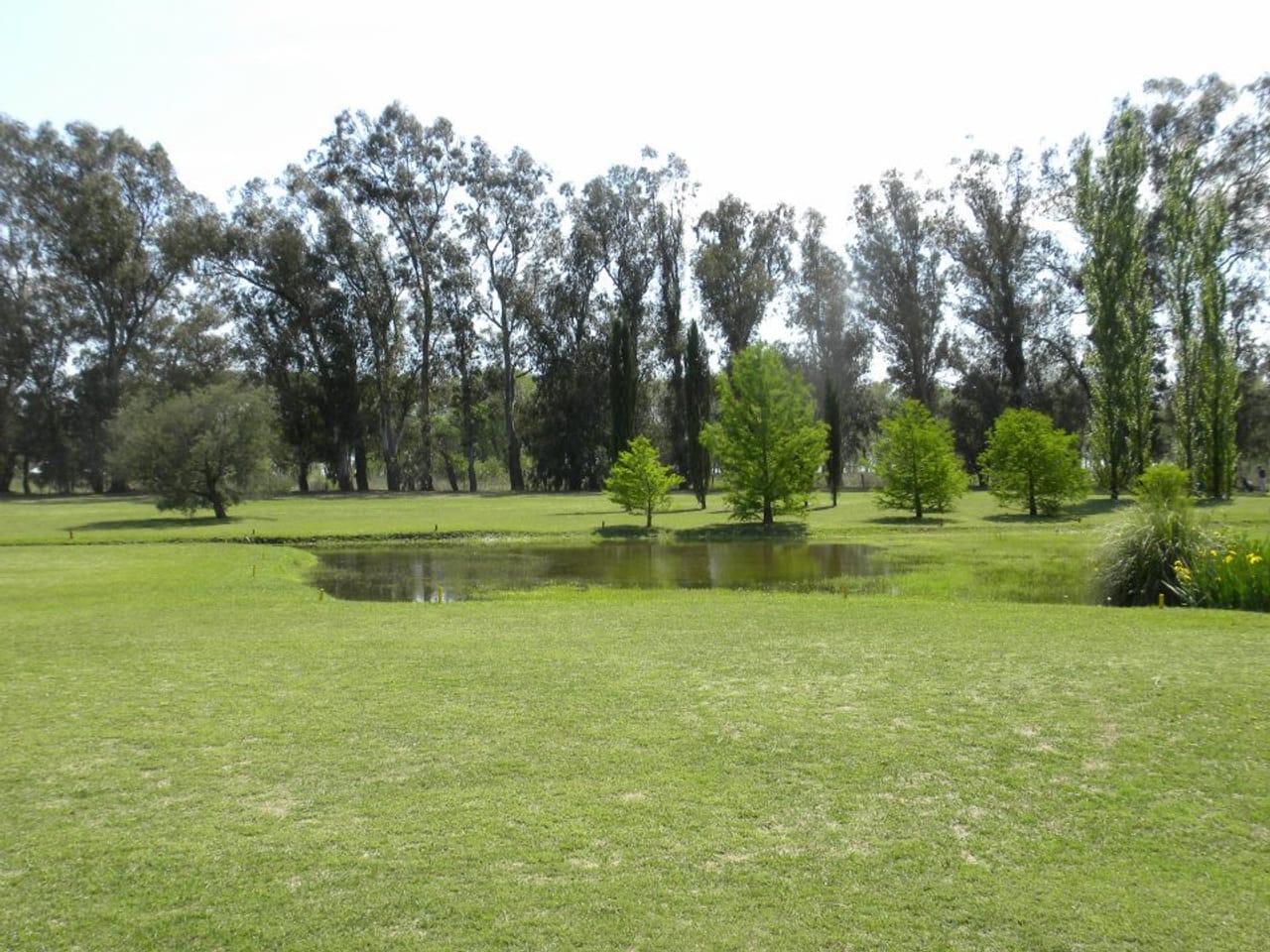Velocidad Golf Club