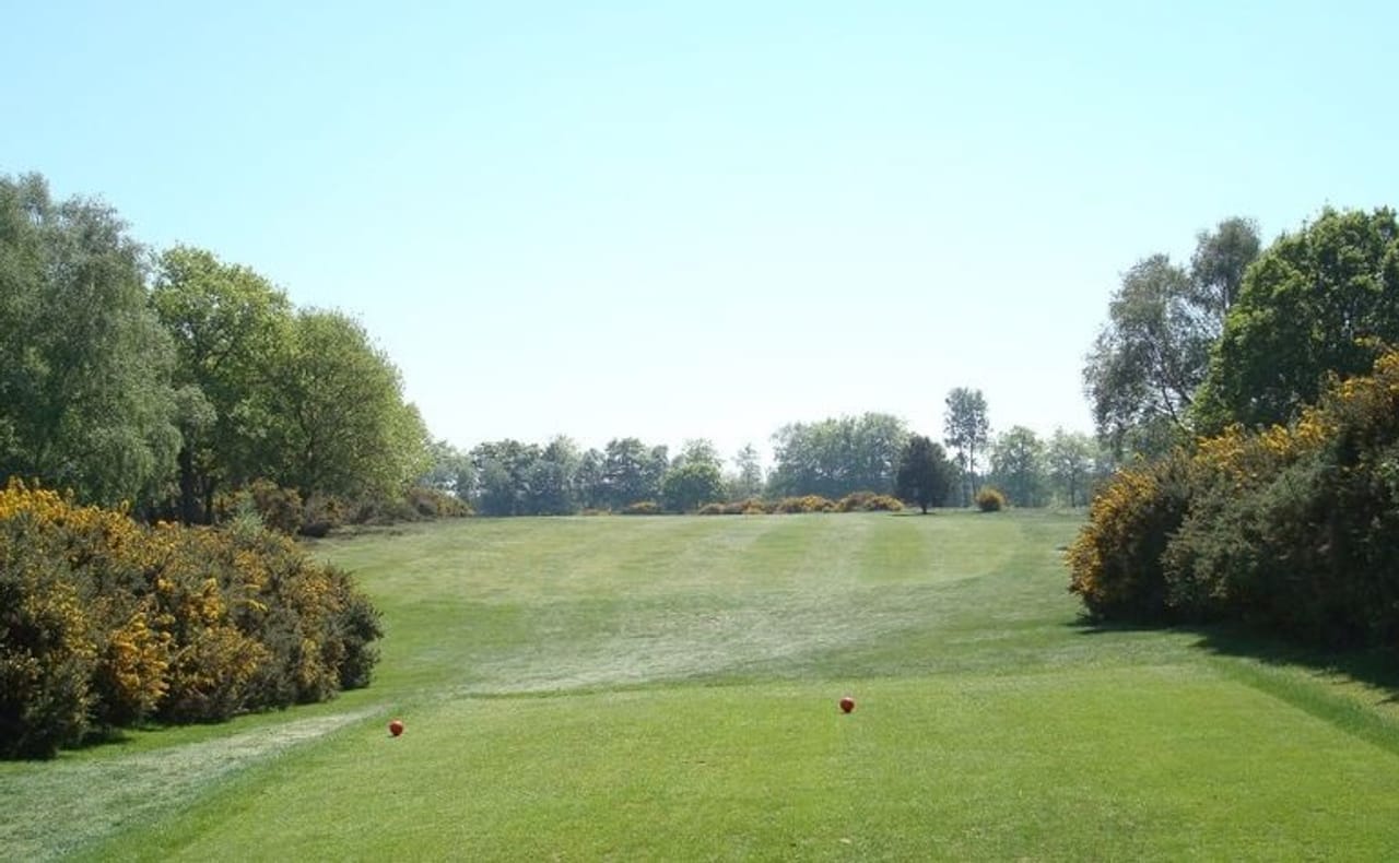 Woodbridge Golf Club (Forest)