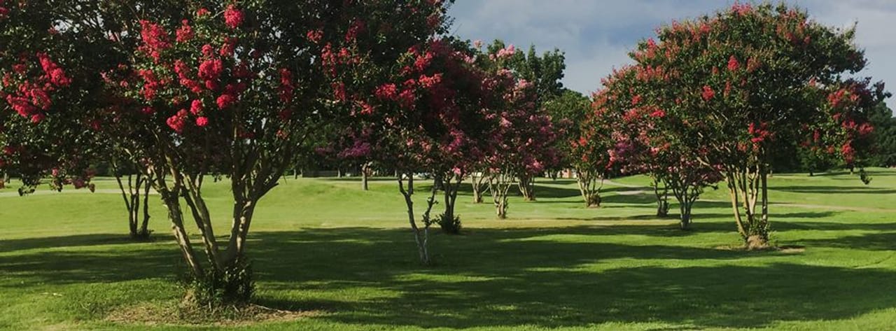 Cane Row Golf & Turf Club