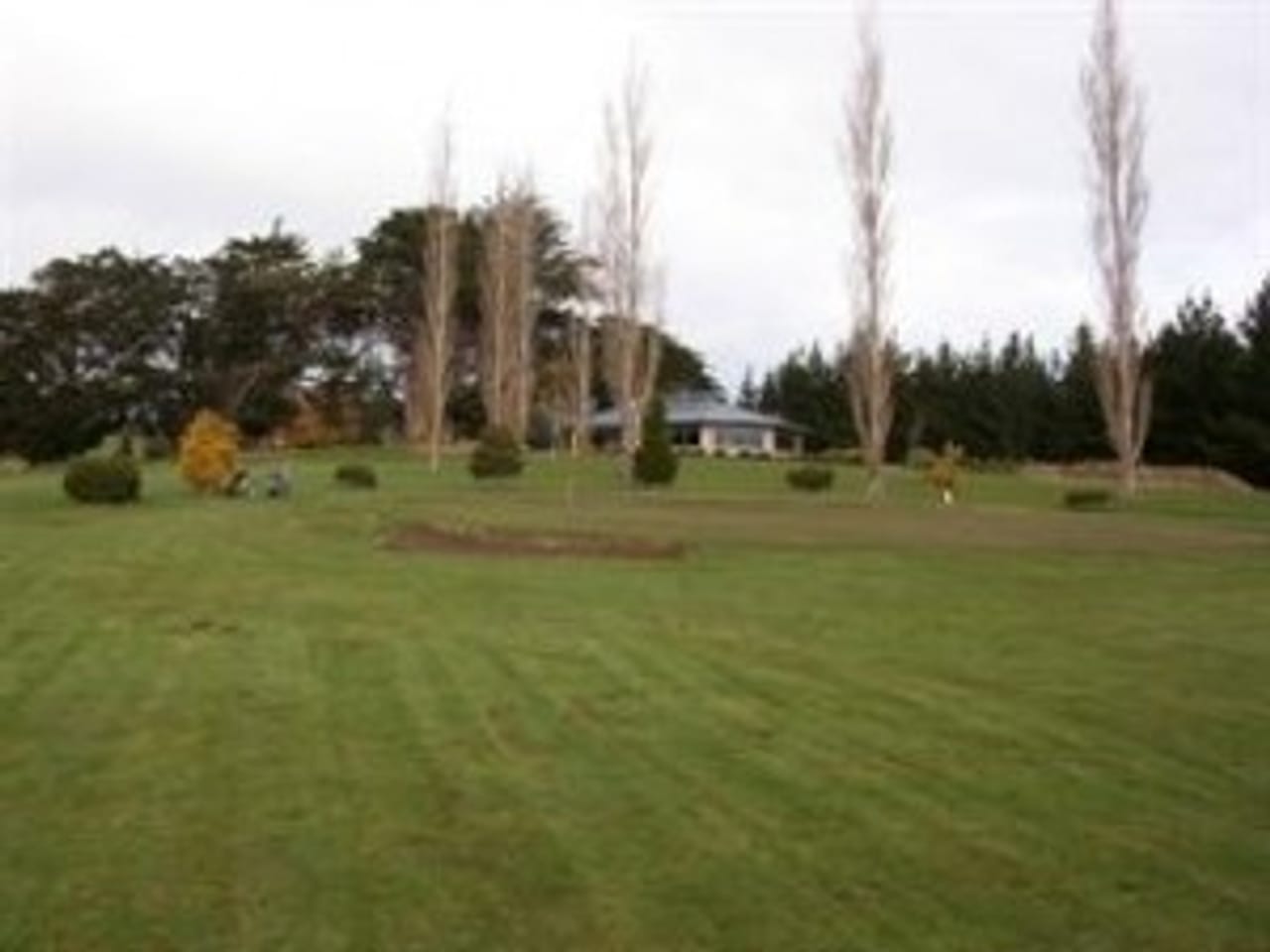 Dipton Golf Club