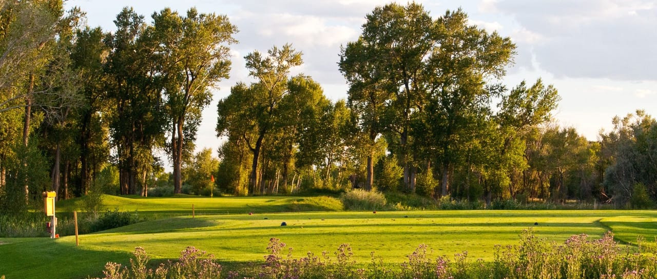 Cattails Golf Course