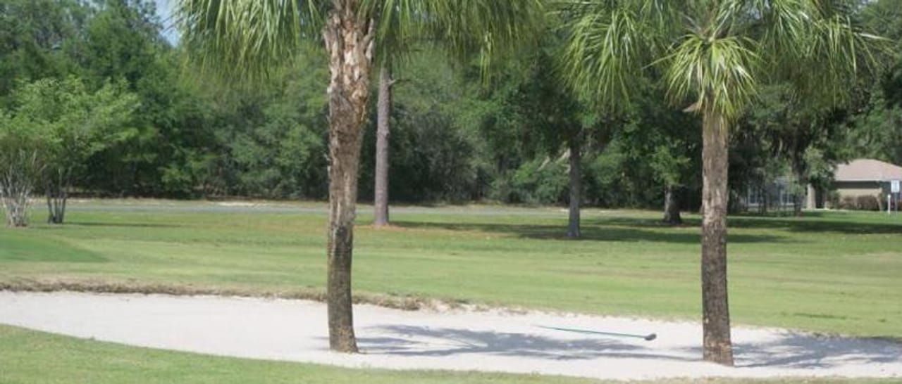 Golf Central Golf Club