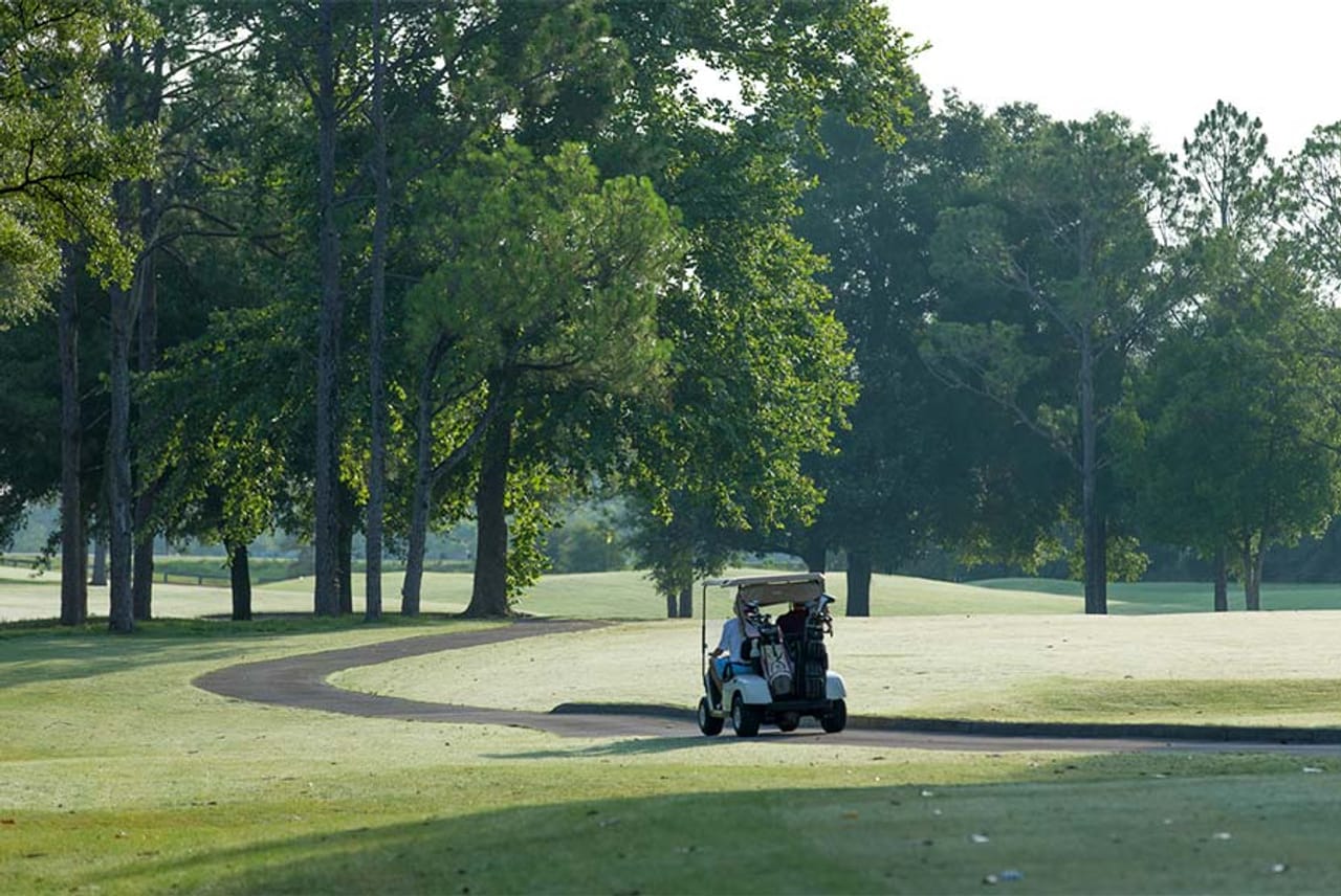 Wallace Adams at Little Ocmulgee