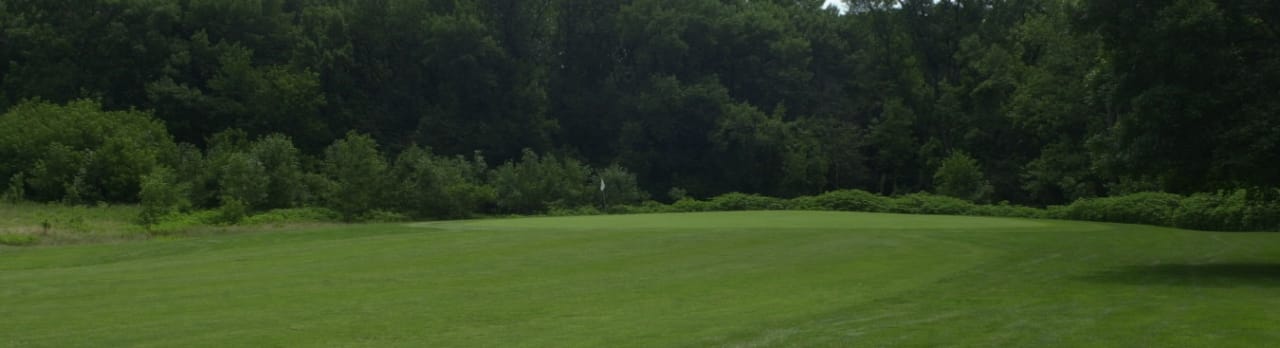 Forest Preserve Golf - Meadowlark Golf Course