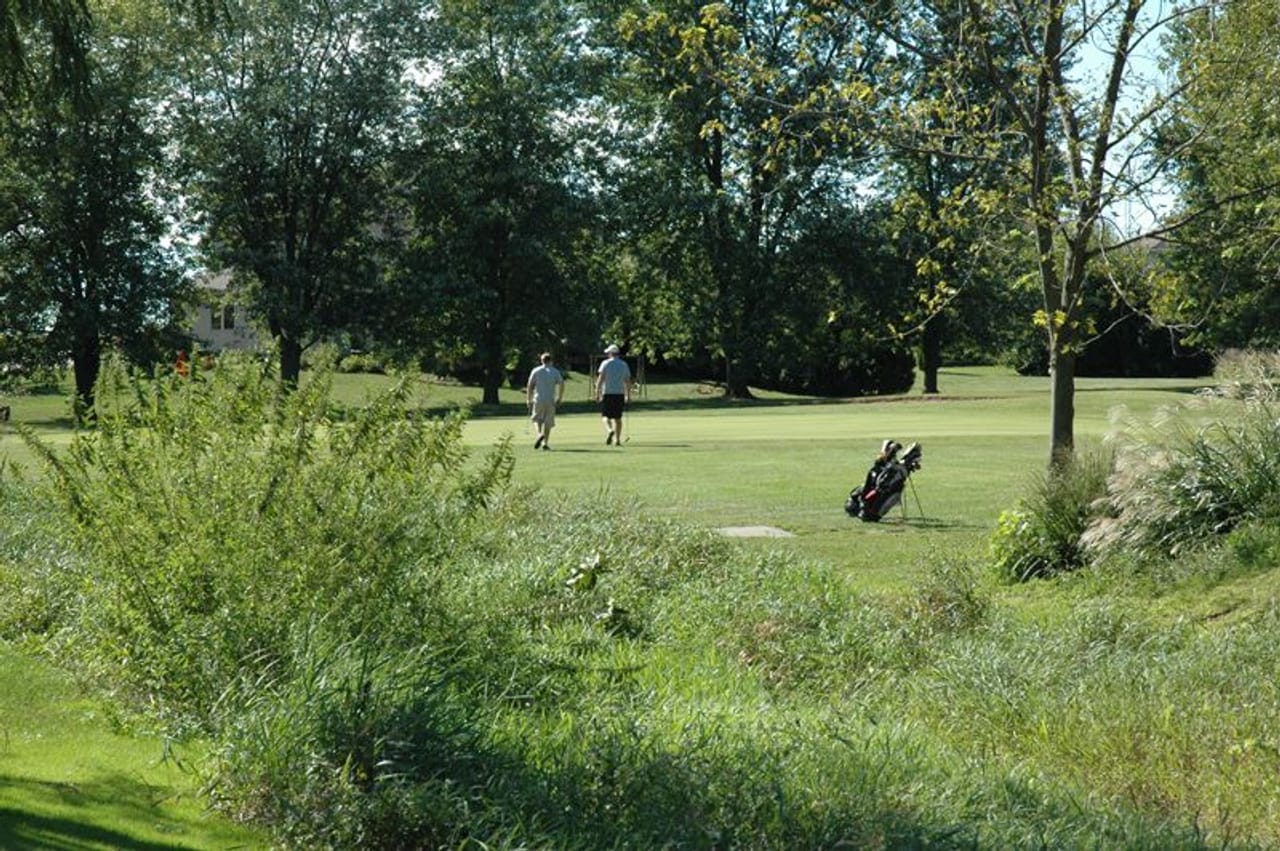 Buena Vista Golf Course