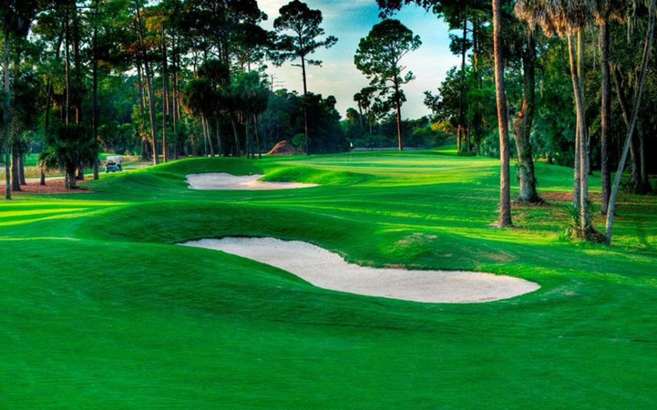 Palm Harbor Golf Club