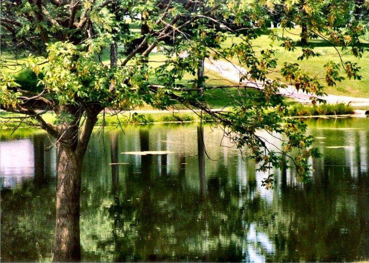 Scripps Park Golf Course