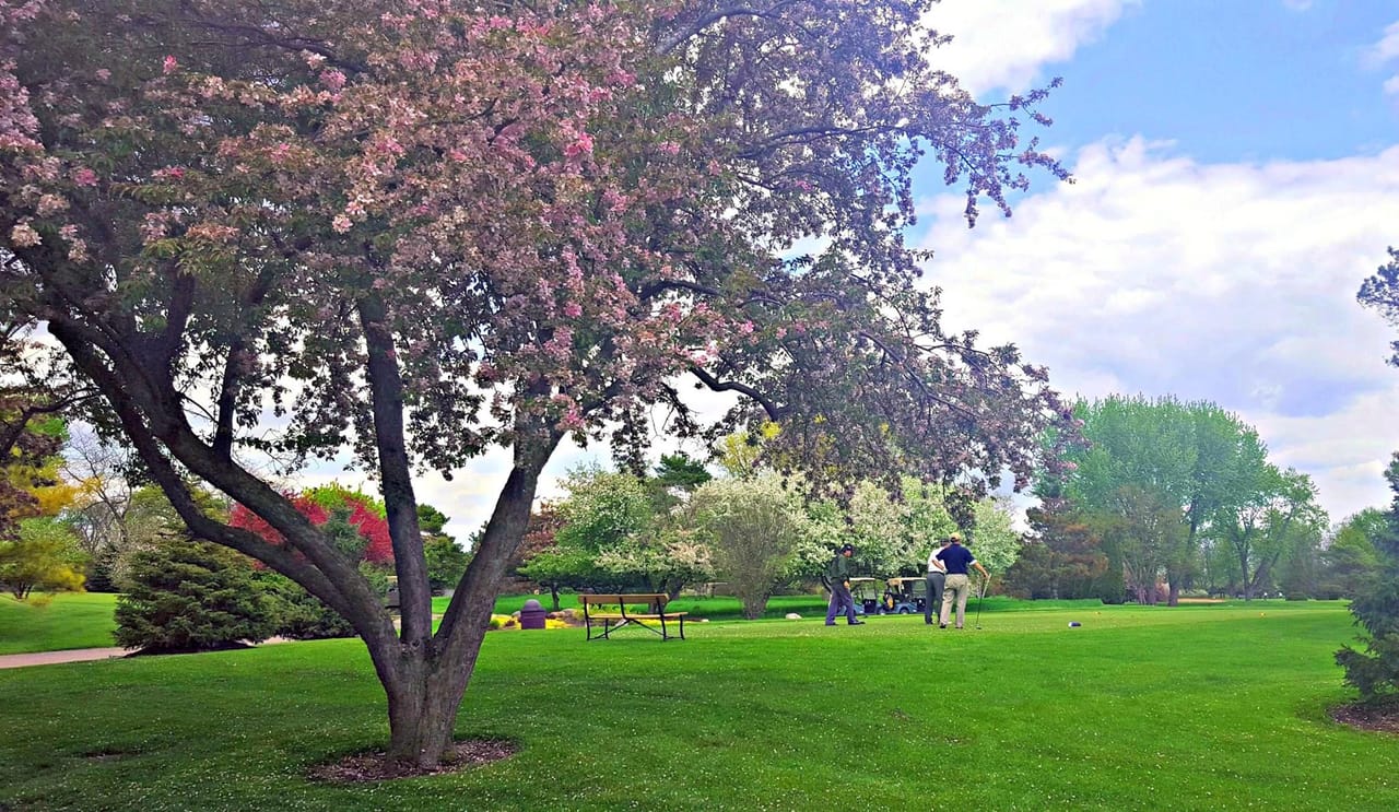 Pheasant Run Golf Course