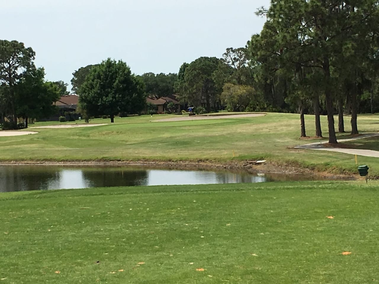 Golf Hammock Golf Course