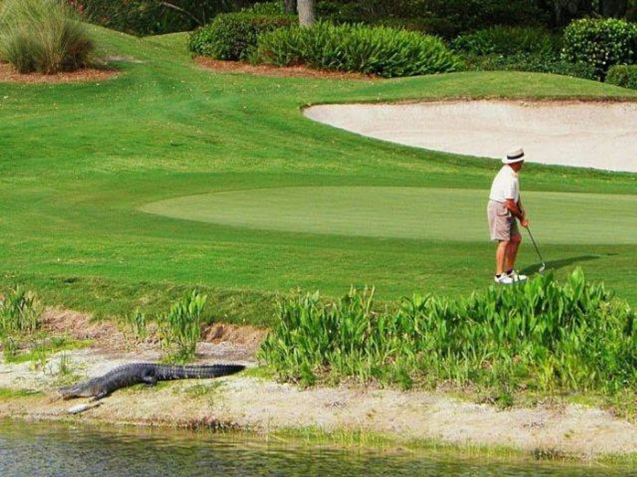 Cherry Blossom Golf Club