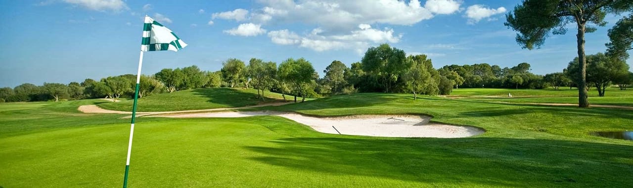 Shannon Greens Golf Club