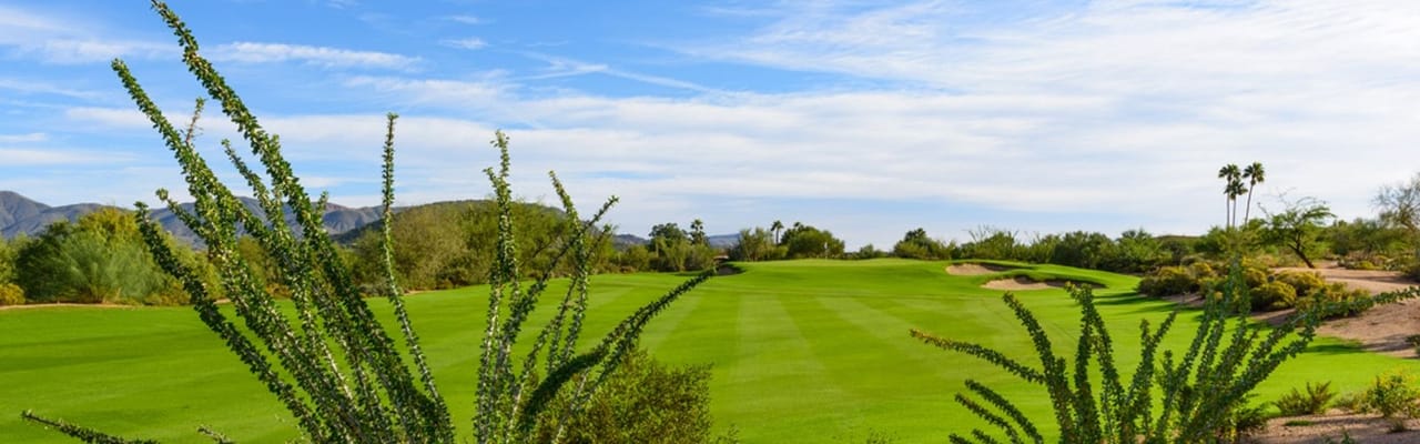 Desert Forest Golf Club