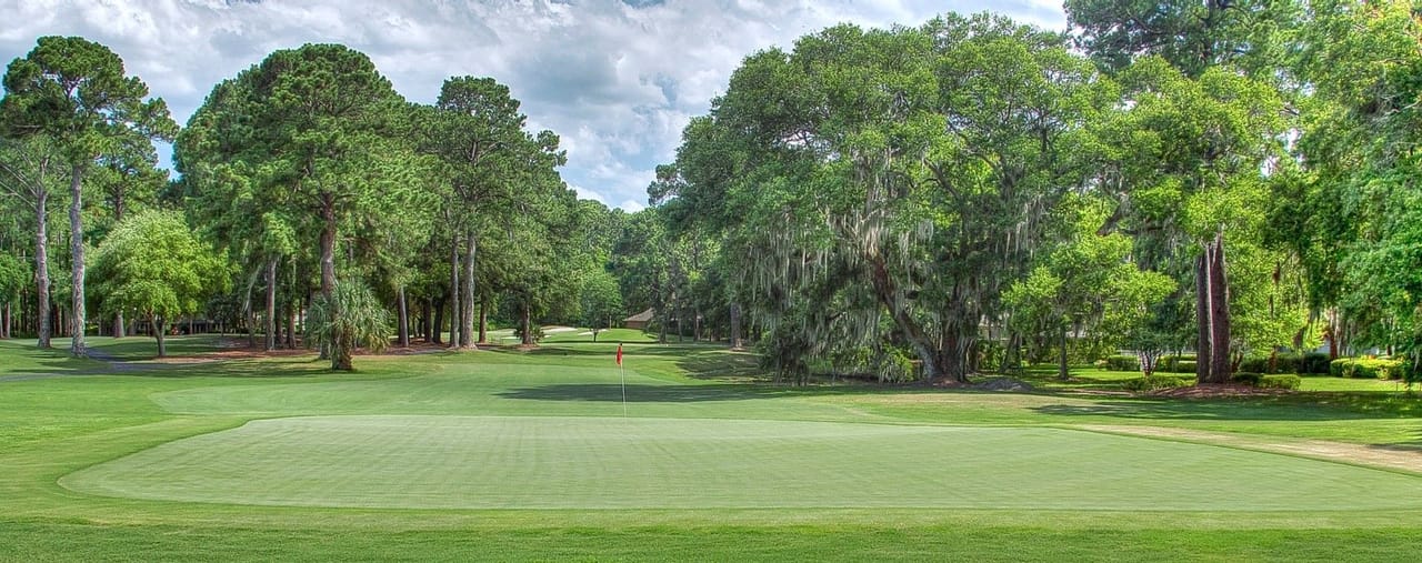 Dolphin Head Golf Club