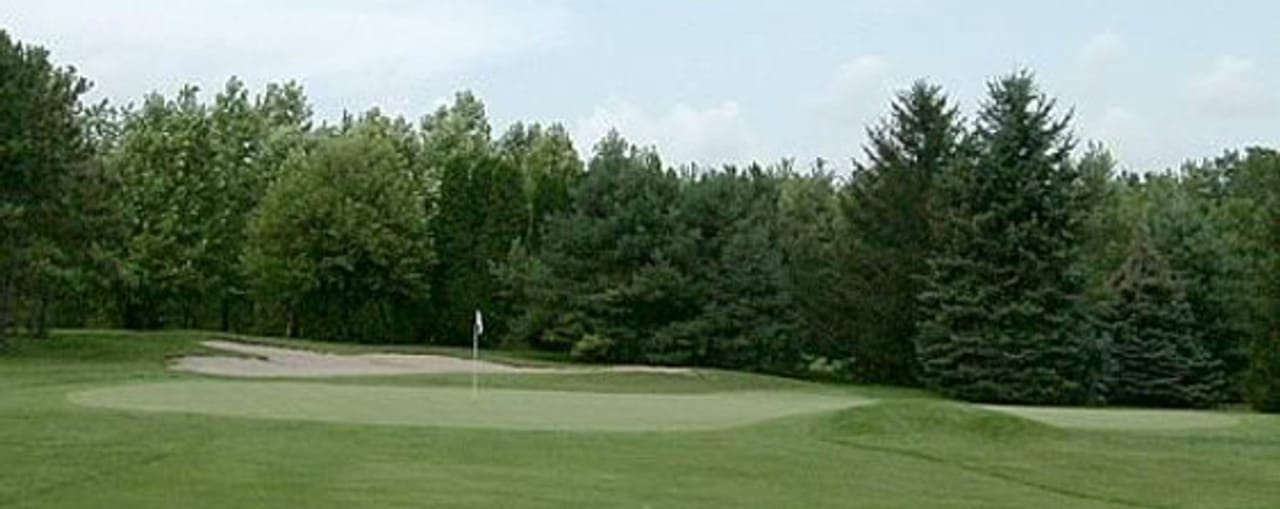 Chippendale Golf Club (Vintage)