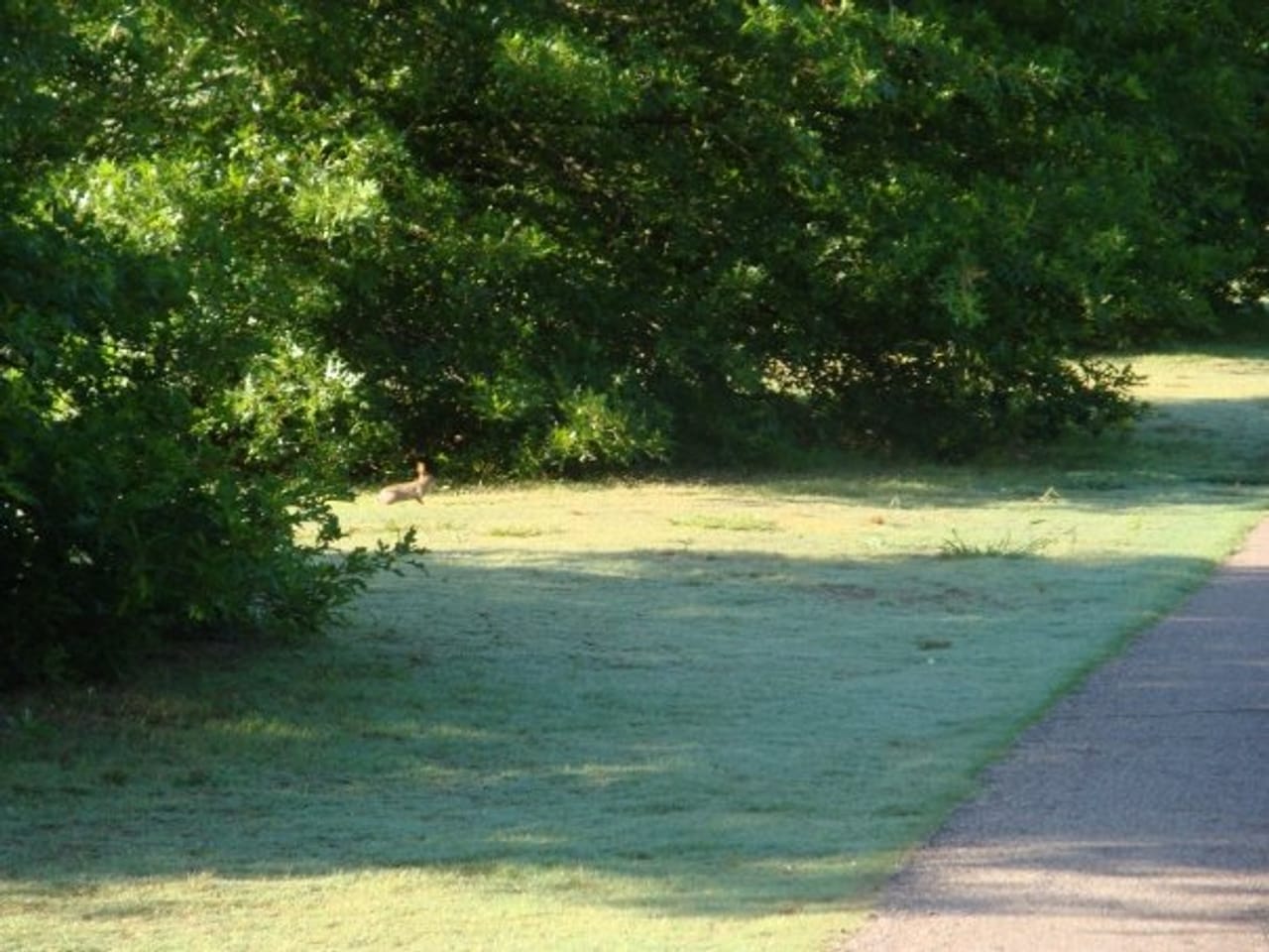 Fox Chase Golf Course