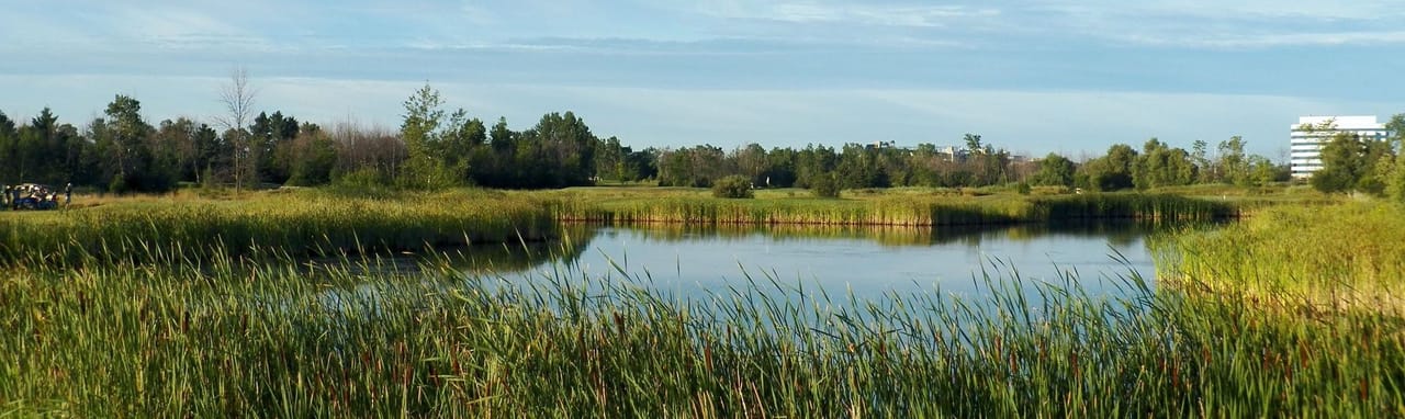 Pine View Golf Course (Championship)