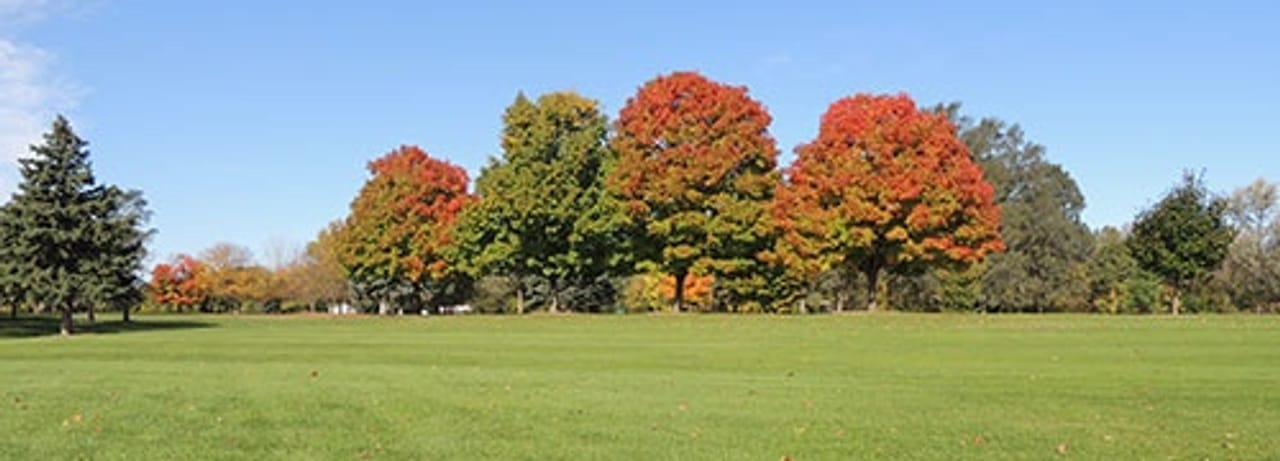 Green Oaks Golf Course