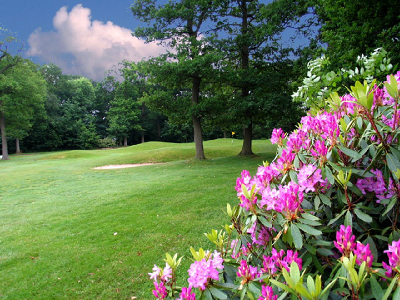 Middlesbrough Golf Club