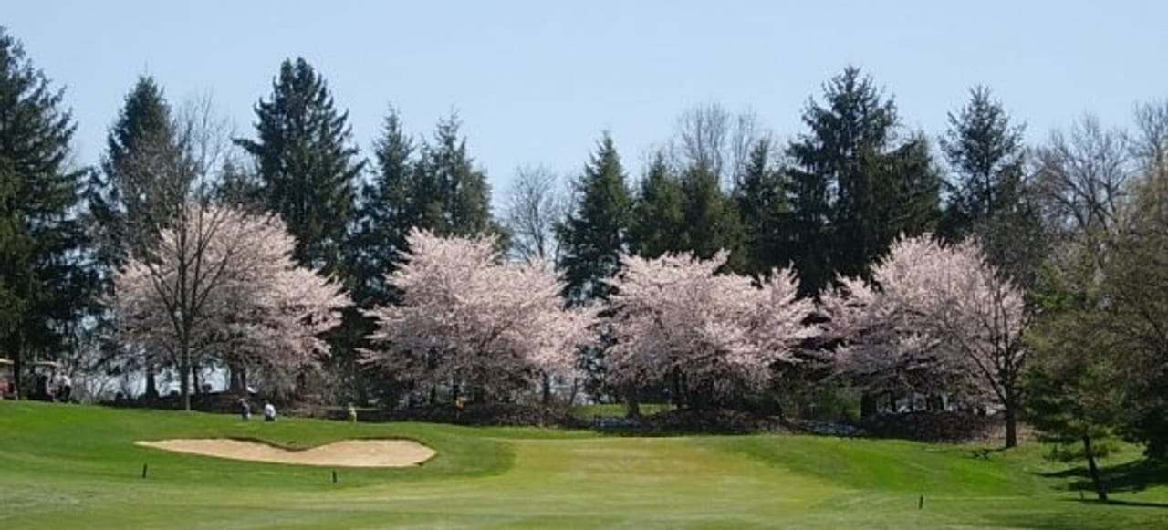 Overlook Golf Course