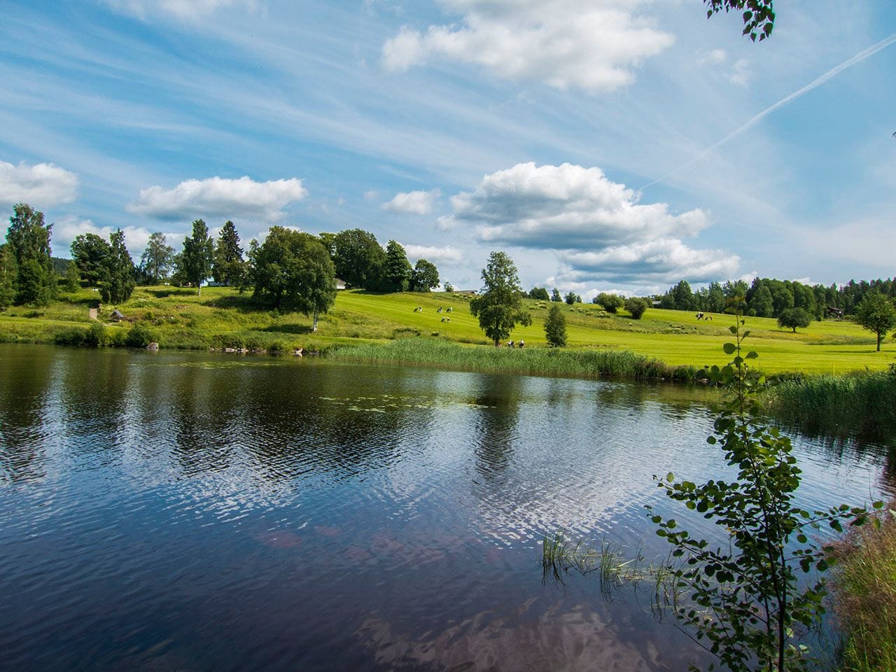 Los Quebrachos Country Golf