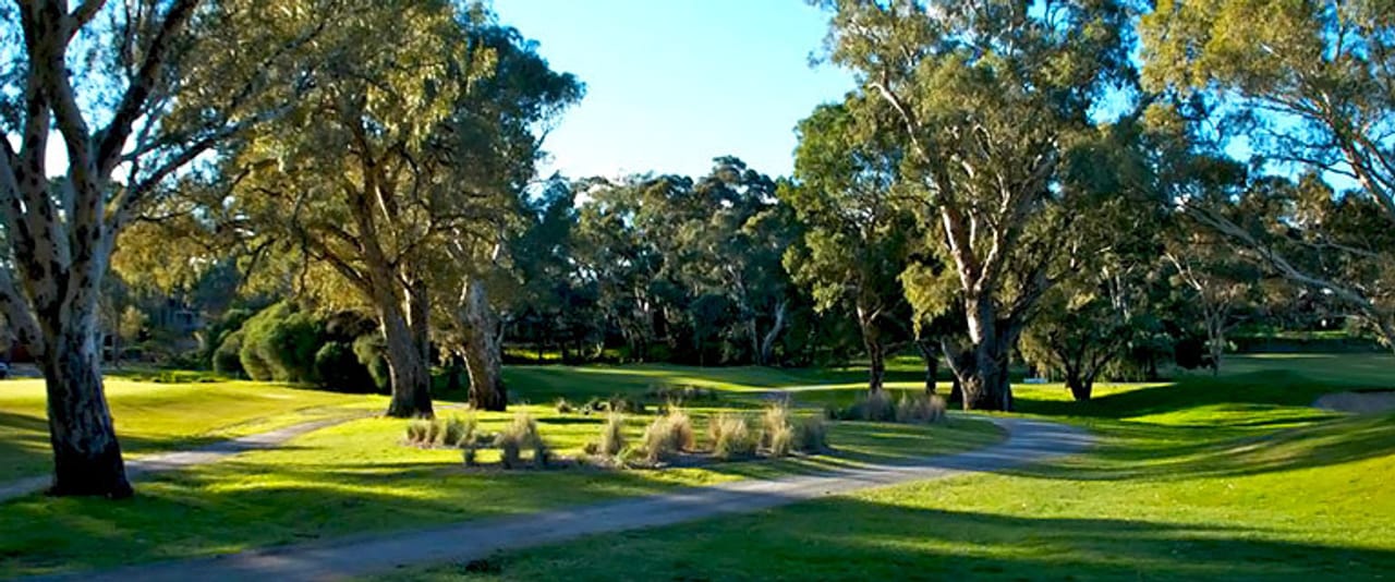 The Vines Golf Club of Reynella