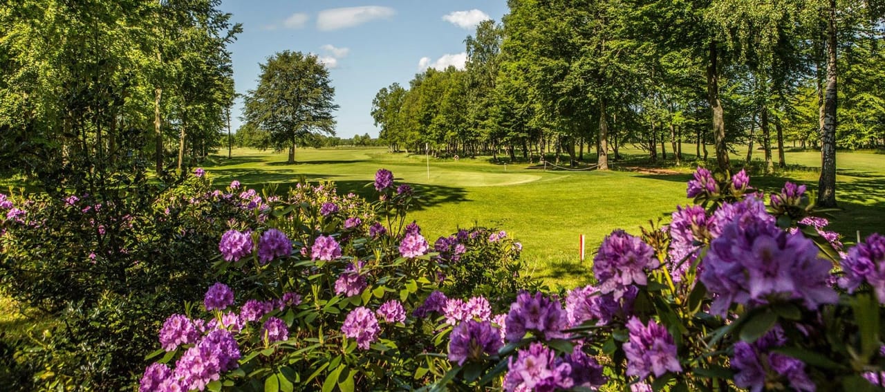 Allerum Golfklubb (Angsbanan)