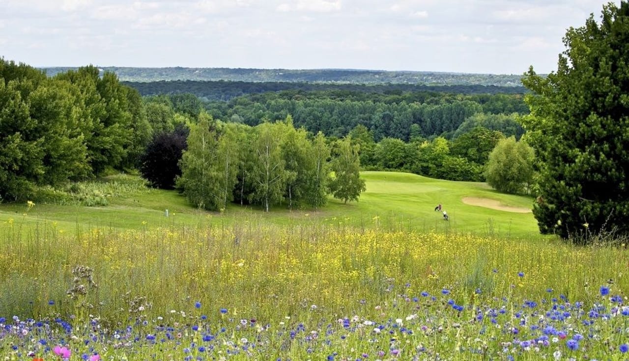Golf Hôtel Mont Griffon (La Forêt)