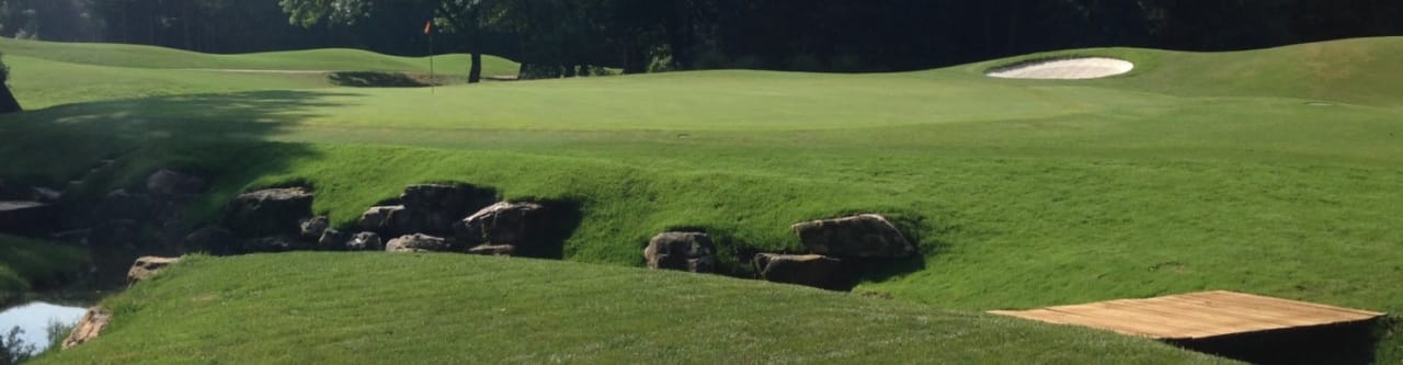 Golf Club of Georgia (Creekside)