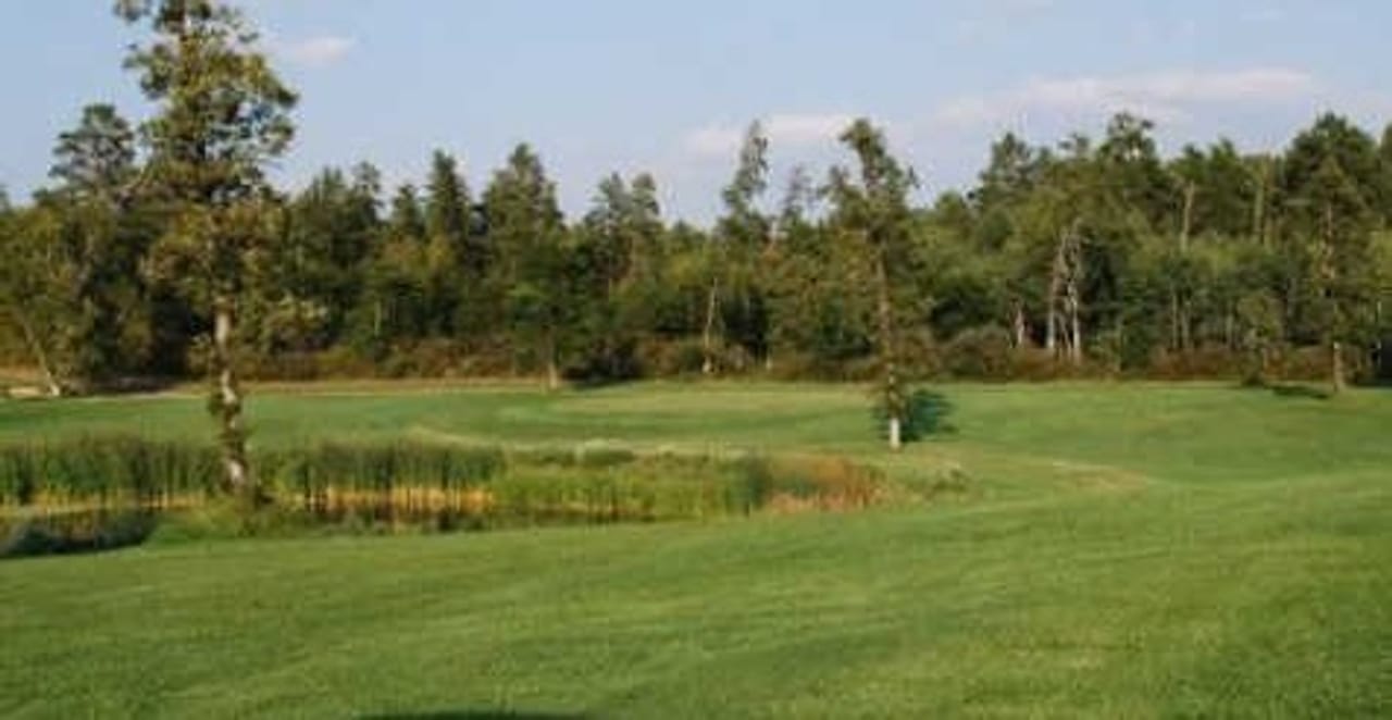 Black Bear Golf Complex