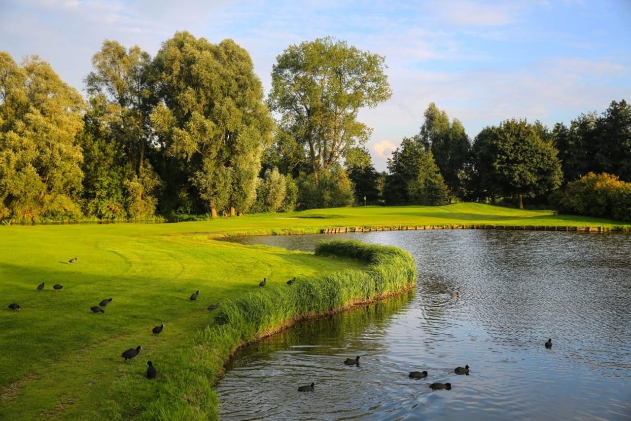 Golf d'Arras (Aubépines)
