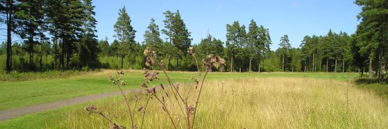 Alvesta Golfklubb