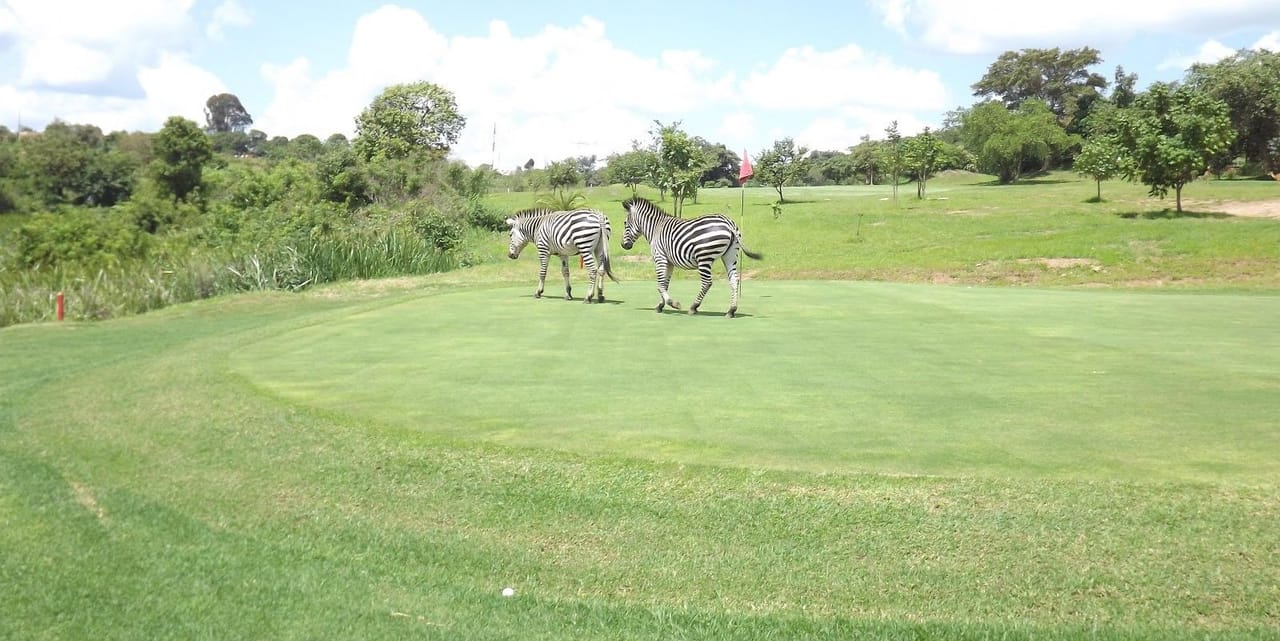 Kansanshi Golf Estate