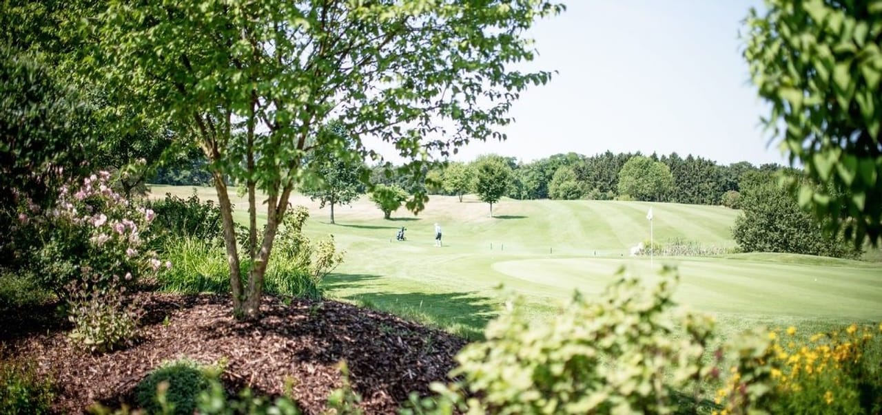 Golfclub Sinsheim Buchenauerhof (Kurzplatz)