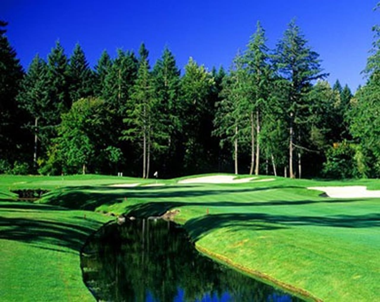 The Reserve Vineyards and Golf Club (South)