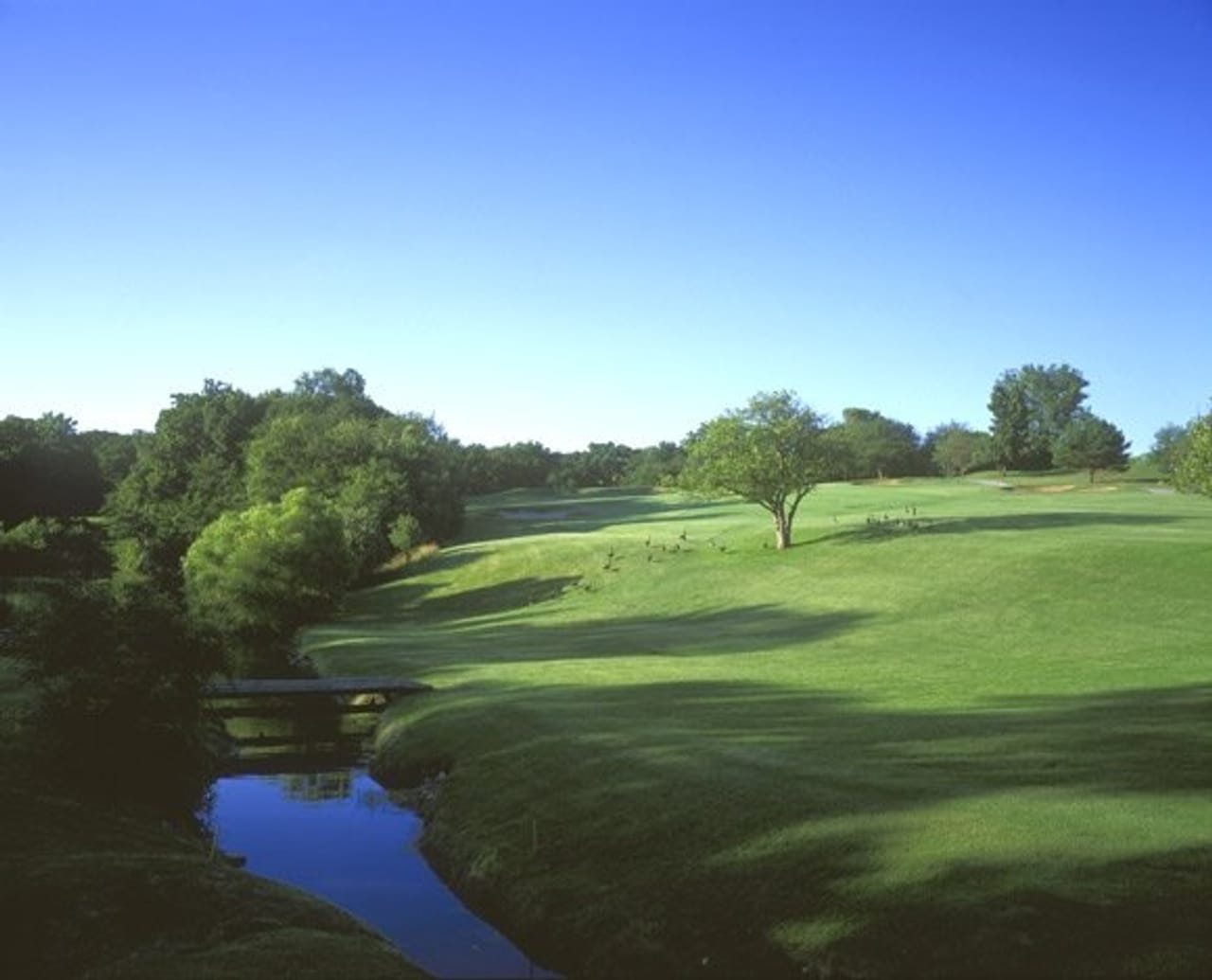 Cog Hill Golf & Country Club (No.1 Blue)