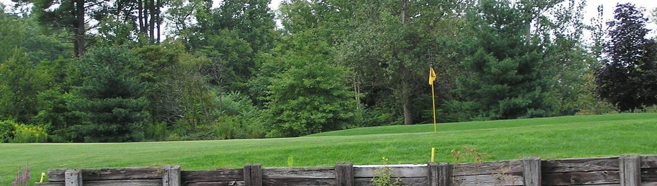 Blue Shamrock Golf Club