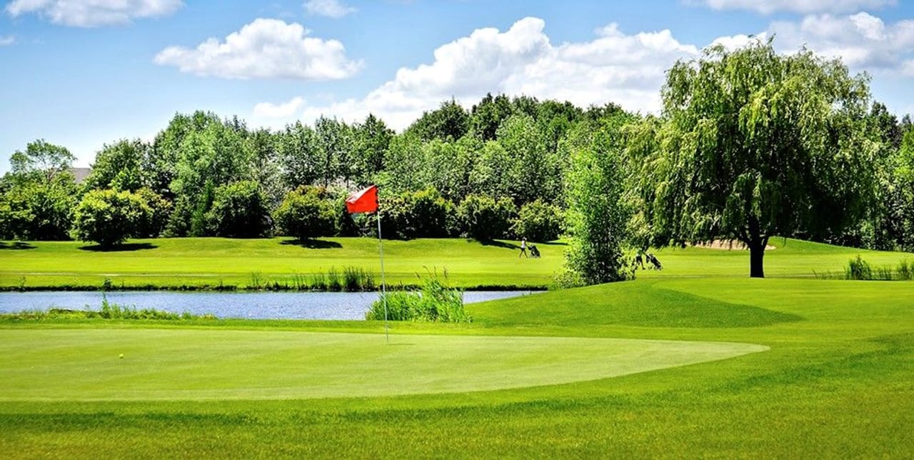 Le Parcours du Cerf (Brocard)